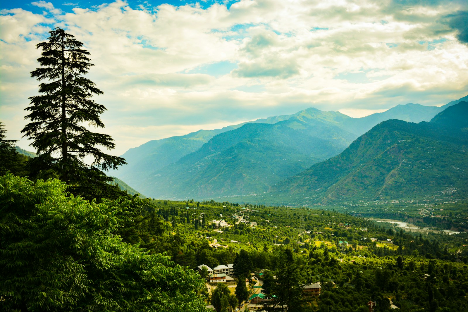 green trees and mountains under white clouds and blue sky during daytime
